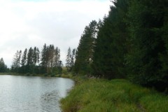 P1210632