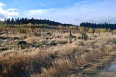 IMG-20251028-WA0073