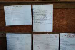 IMG-20251028-WA0134