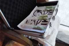 IMG-20251028-WA0137