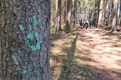 vydří ultragigaúžasná výprava 25.-27.4. 