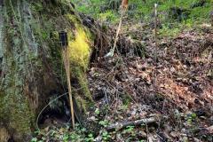 IMG-20250427-WA0030