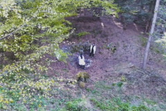 IMG_20250426_175633832