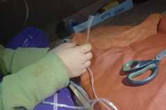 IMG-20240115-WA0014