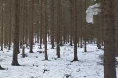 IMG_20240113_102749