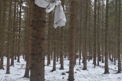 IMG_20240113_102828
