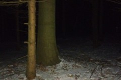 IMG_20240113_210022