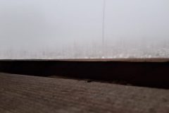 20260117_113951-1-scaled