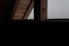 20260117_114338-1-scaled