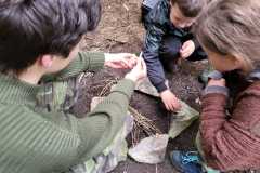 IMG-20221013-WA0024