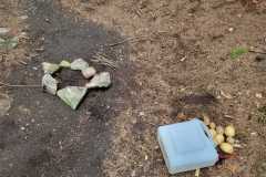 IMG-20221013-WA0026