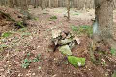 IMG-20221013-WA0040