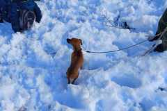 IMG-20231224-WA0009