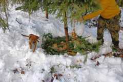 IMG-20231224-WA0011
