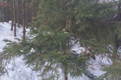 IMG_20231224_104745